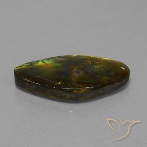 19.04 ct Multicolor Ammolite Stone, Natural Ammolite in Fancy Cabochon Shape for Sale