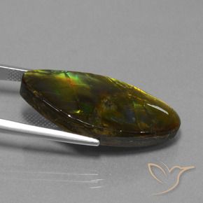 Ammolite Gemstone in 30.6 x 15 mm Size for Sale, Ammolite Stone in Multicolor Color