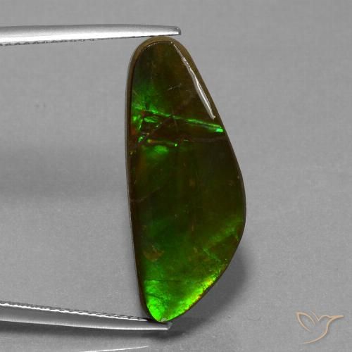 10.78 ct Fancy Ammolite, 26.4 x 10.8 mm From Canada, Photo A