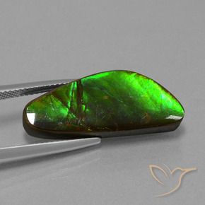 10.78 ct Multicolor Ammolite Stone, Natural Ammolite in Fancy Cabochon Shape for Sale
