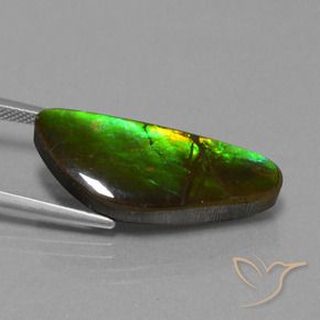 Ammolite Gemstone in 26.4 x 10.8 mm Size for Sale, Ammolite Stone in Multicolor Color