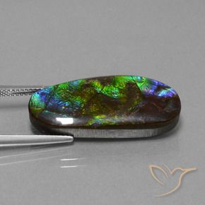 16.37 ct Multicolor Ammolite Stone, Natural Ammolite in Fancy Cabochon Shape for Sale