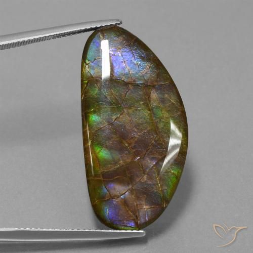 26.24ct Natural Multicolor Ammolite, Fancy, Opaque