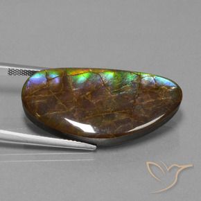 26.24 ct Multicolor Ammolite Stone, Natural Ammolite in Fancy Cabochon Shape for Sale