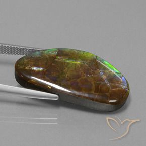 Ammolite Gemstone in 32.1 x 16.2 mm Size for Sale, Ammolite Stone in Multicolor Color