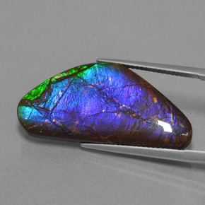 18.58 ct Multicolor Ammolite Gemstone, Ammolite Gem in Fancy Cabochon Shape for Sale.