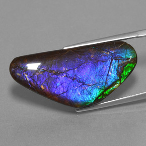 18.58 ct Multicolor Ammolite Stone, Natural Ammolite in Fancy Cabochon Shape for Sale