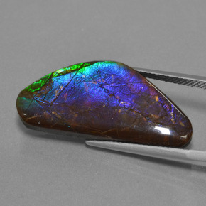 Ammolite Gemstone in 31.3 x 14.7 mm Size for Sale, Ammolite Stone in Multicolor Color