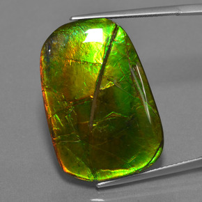 24.17 ct Multicolor Ammolite Gemstone, Ammolite Gem in Cushion Cabochon Shape for Sale.