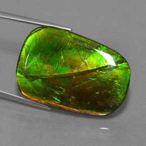 24.17 ct Multicolor Ammolite Stone, Natural Ammolite in Cushion Cabochon Shape for Sale
