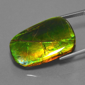 Ammolite Gemstone in 27.7 x 18.8 mm Size for Sale, Ammolite Stone in Multicolor Color