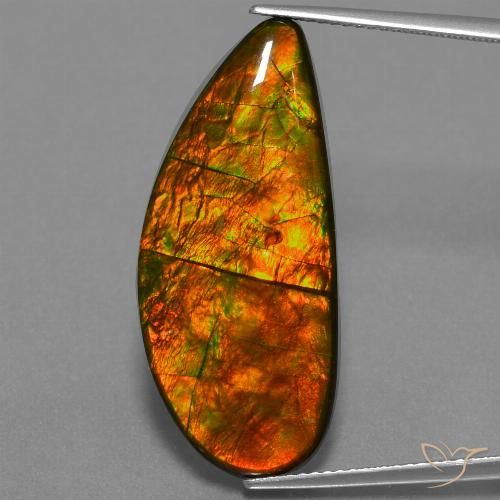 18.94ct Natural Multicolor Ammolite, Fancy, Opaque