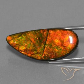 18.94 ct Multicolor Ammolite Stone, Natural Ammolite in Fancy Cabochon Shape for Sale