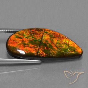 Ammolite Gemstone in 31.2 x 13.5 mm Size for Sale, Ammolite Stone in Multicolor Color