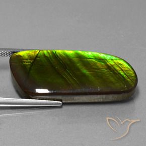 25.90 ct Multicolor Ammolite Stone, Natural Ammolite in Fancy Cabochon Shape for Sale