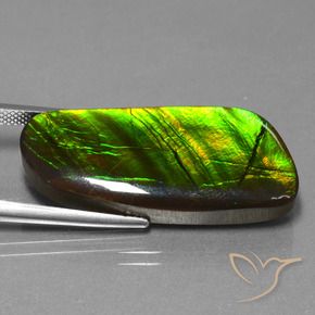 Ammolite Gemstone in 32.4 x 14.7 mm Size for Sale, Ammolite Stone in Multicolor Color