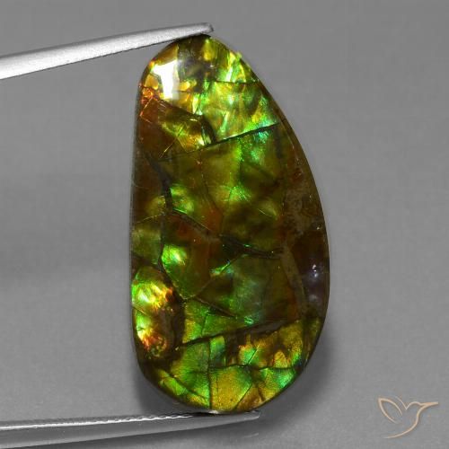 18.96ct Natural Multicolor Ammolite, Fancy, Opaque