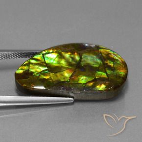 18.96 ct Multicolor Ammolite Stone, Natural Ammolite in Fancy Cabochon Shape for Sale