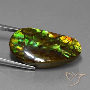 Ammolite Gemstone in 27.9 x 14.7 mm Size for Sale, Ammolite Stone in Multicolor Color