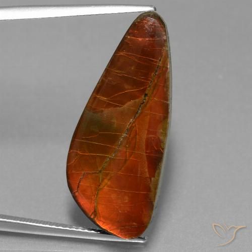 13.94ct Natural Multicolor Ammolite, Fancy, Opaque