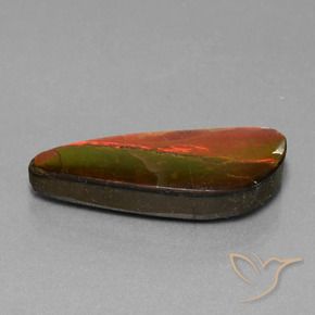 13.94 ct Multicolor Ammolite Stone, Natural Ammolite in Fancy Cabochon Shape for Sale
