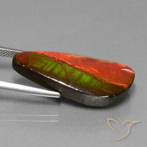 Ammolite Gemstone in 29.4 x 12.2 mm Size for Sale, Ammolite Stone in Multicolor Color