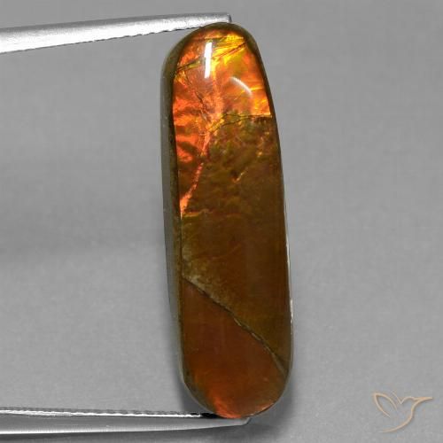 10.96ct Natural Multicolor Ammolite, Fancy, Opaque