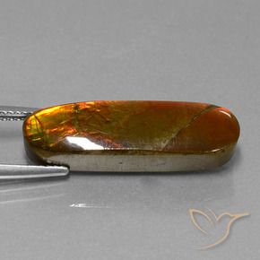 10.96 ct Multicolor Ammolite Stone, Natural Ammolite in Fancy Cabochon Shape for Sale