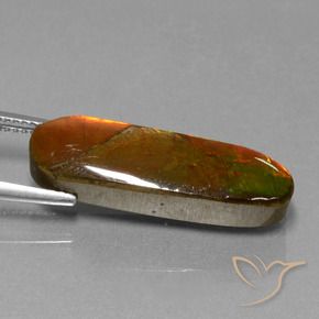 Ammolite Gemstone in 26.1 x 7.8 mm Size for Sale, Ammolite Stone in Multicolor Color