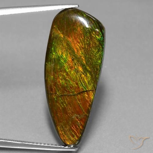 18.13ct Natural Multicolor Ammolite, Fancy, Opaque