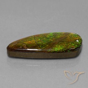 18.13 ct Multicolor Ammolite Stone, Natural Ammolite in Fancy Cabochon Shape for Sale
