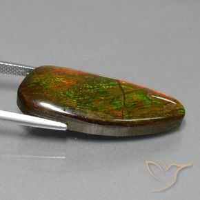 Ammolite Gemstone in 33.8 x 12.8 mm Size for Sale, Ammolite Stone in Multicolor Color