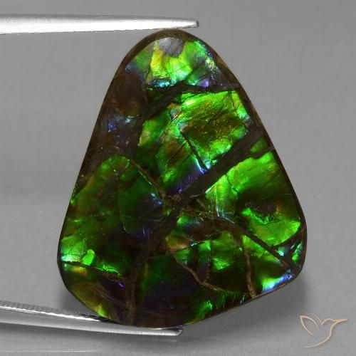 21.05ct Natural Multicolor Ammolite, Trillion, Opaque