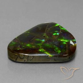 21.05 ct Multicolor Ammolite Stone, Natural Ammolite in Trillion Cabochon Shape for Sale