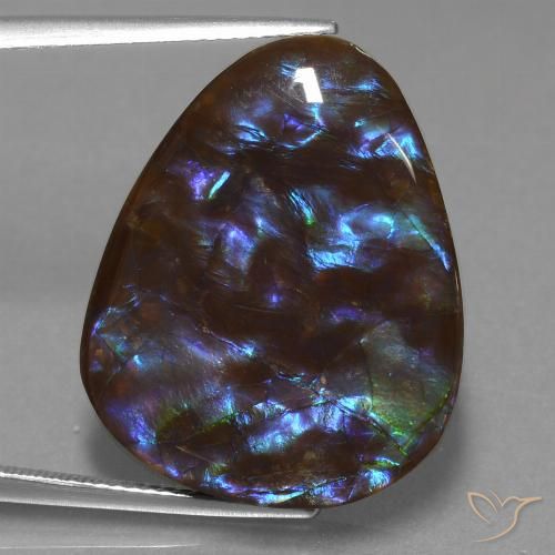 Multicolor Ammolite Gem - 20.1ct Fancy Cabochon (ID: 453566)