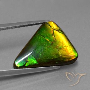 Ammolite Gemstone in 20 x 15 mm (calibrated) Size for Sale, Ammolite Stone in Multicolor Color