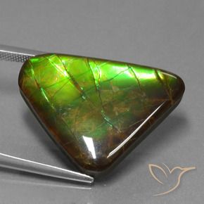 Ammolite Gemstone in 19.8 x 26.7 mm Size for Sale, Ammolite Stone in Multicolor Color