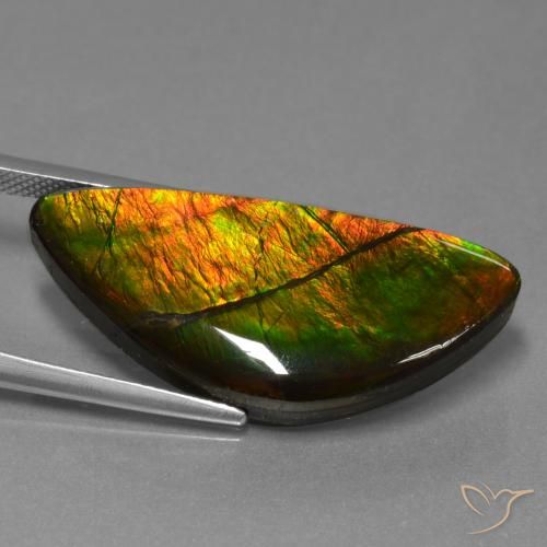 19.31 ct Multicolor Ammolite Stone, Natural Ammolite in Fancy Cabochon Shape for Sale