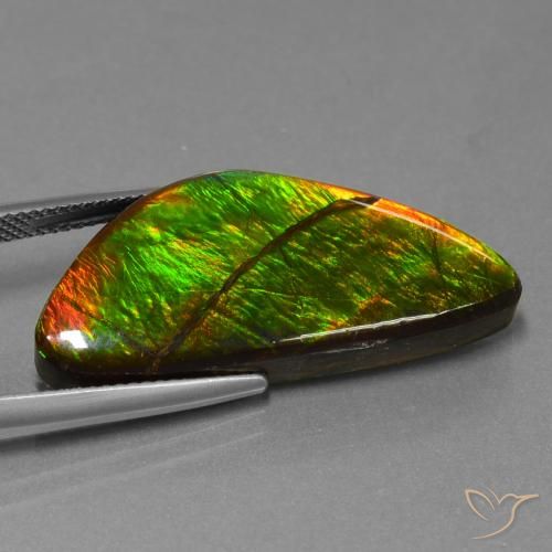 Ammolite Gemstone in 31.7 x 14.4 mm Size for Sale, Ammolite Stone in Multicolor Color