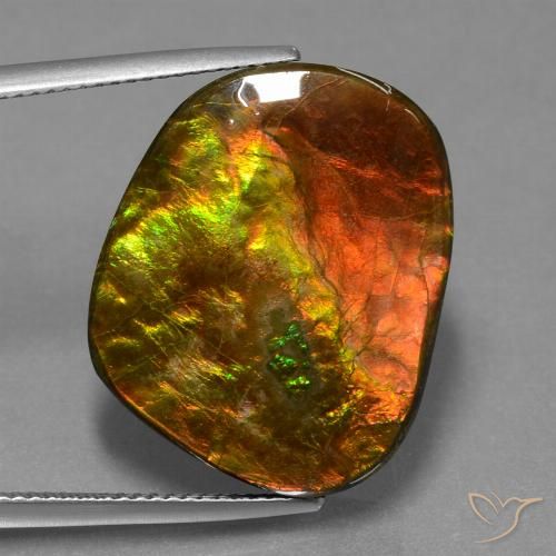 20.65ct Natural Multicolor Ammolite, Fancy, Opaque