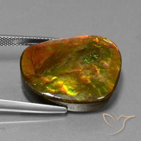 20.65 ct Multicolor Ammolite Stone, Natural Ammolite in Fancy Cabochon Shape for Sale