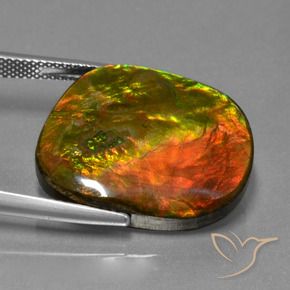 Ammolite Gemstone in 22.2 x 18.3 mm Size for Sale, Ammolite Stone in Multicolor Color