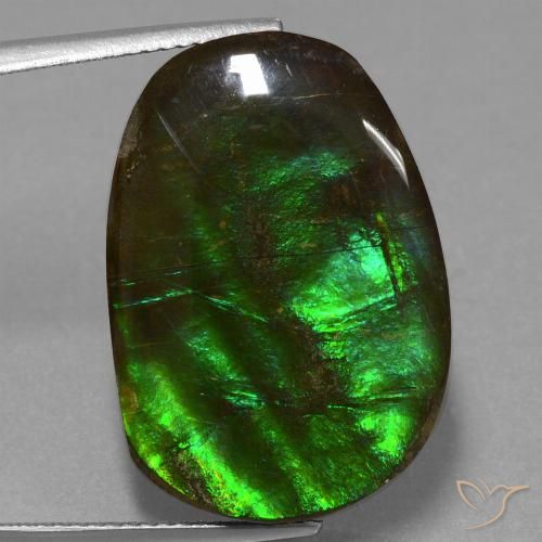 16.23ct Natural Multicolor Ammolite, Fancy, Opaque
