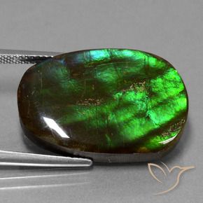 16.23 ct Multicolor Ammolite Stone, Natural Ammolite in Fancy Cabochon Shape for Sale