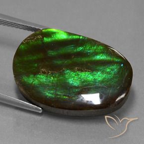 Ammolite Gemstone in 24 x 16.7 mm Size for Sale, Ammolite Stone in Multicolor Color