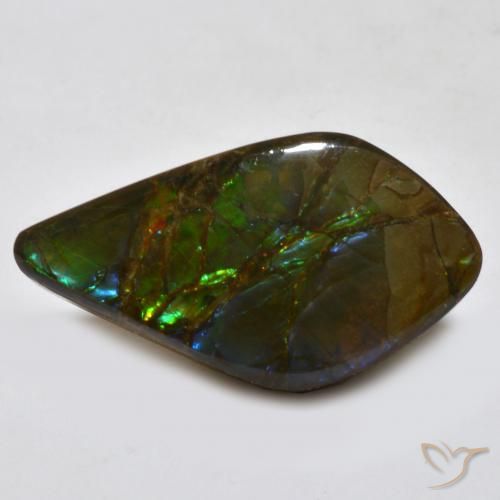 18.15 ct Multicolor Ammolite Stone, Natural Ammolite in Rhomb Cabochon Shape for Sale
