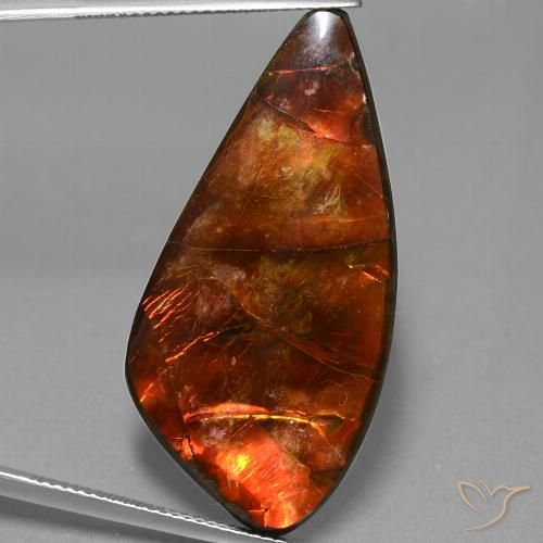 23.09 ct Fancy Ammolite, 37.7 x 18.3 mm From Canada, Photo A