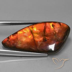 Ammolite Gemstone in 37.7 x 18.3 mm Size for Sale, Ammolite Stone in Multicolor Color