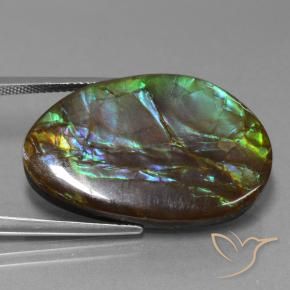27.74 ct Multicolor Ammolite Stone, Natural Ammolite in Fancy Cabochon Shape for Sale