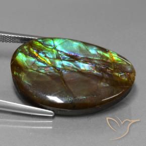 Ammolite Gemstone in 29.5 x 19.4 mm Size for Sale, Ammolite Stone in Multicolor Color